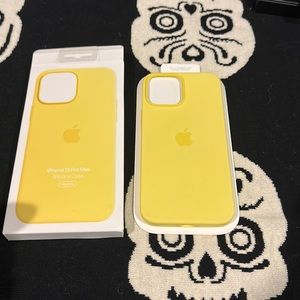 Apple silicone 13 Pro Max case